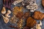 what are medicinal mushrooms 