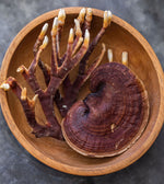 reishi mushroom