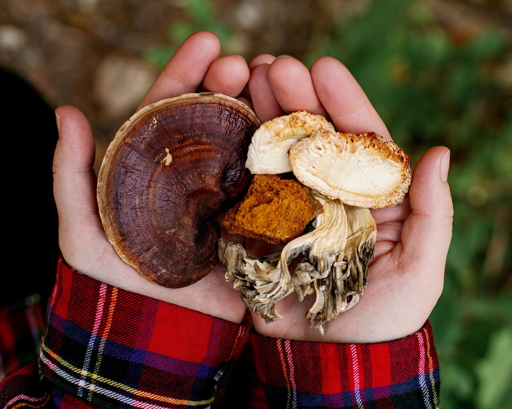 holding mushrooms